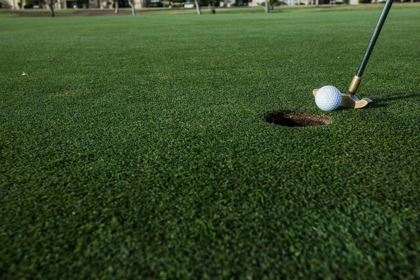 A close-up photo of a golf ball about to be putted into a hole on a well-manicured golf green. The golfer's club is positioned behind the ball, ready to make the shot. Thanks to professional turf installers, the background shows a pristine view of a golf course in St. Bradenton outdoor space.