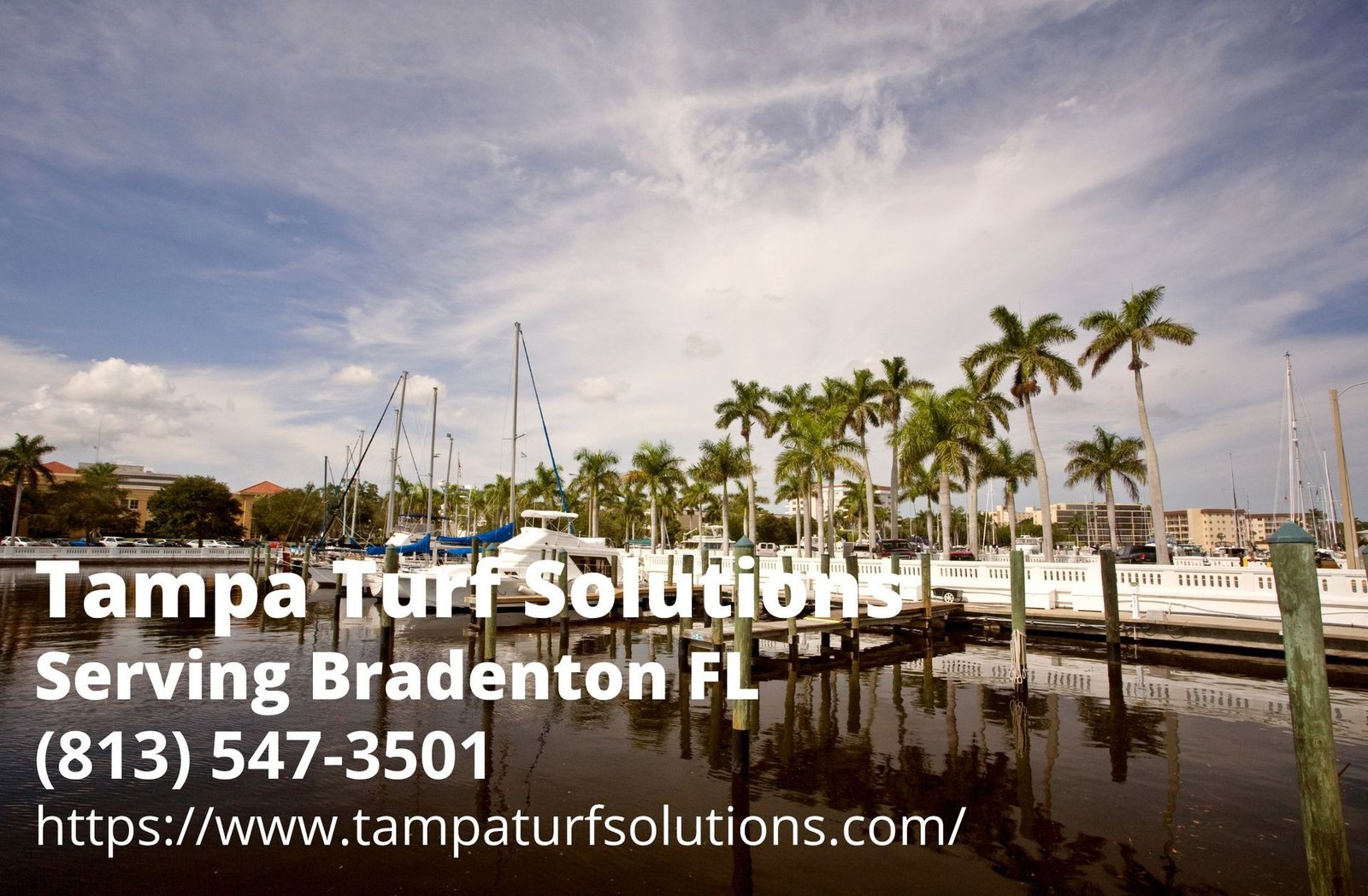 contact info of Tampa Turf Solutions - an artificial grass company serving Bradenton, FL