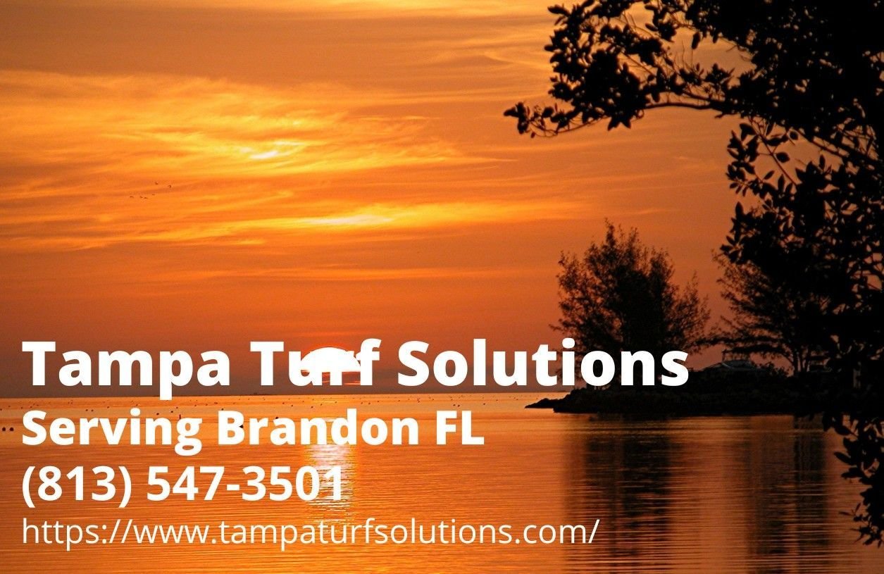 business info of Tampa Turf Solutions - an artificial turf installer serving Brandon, FL