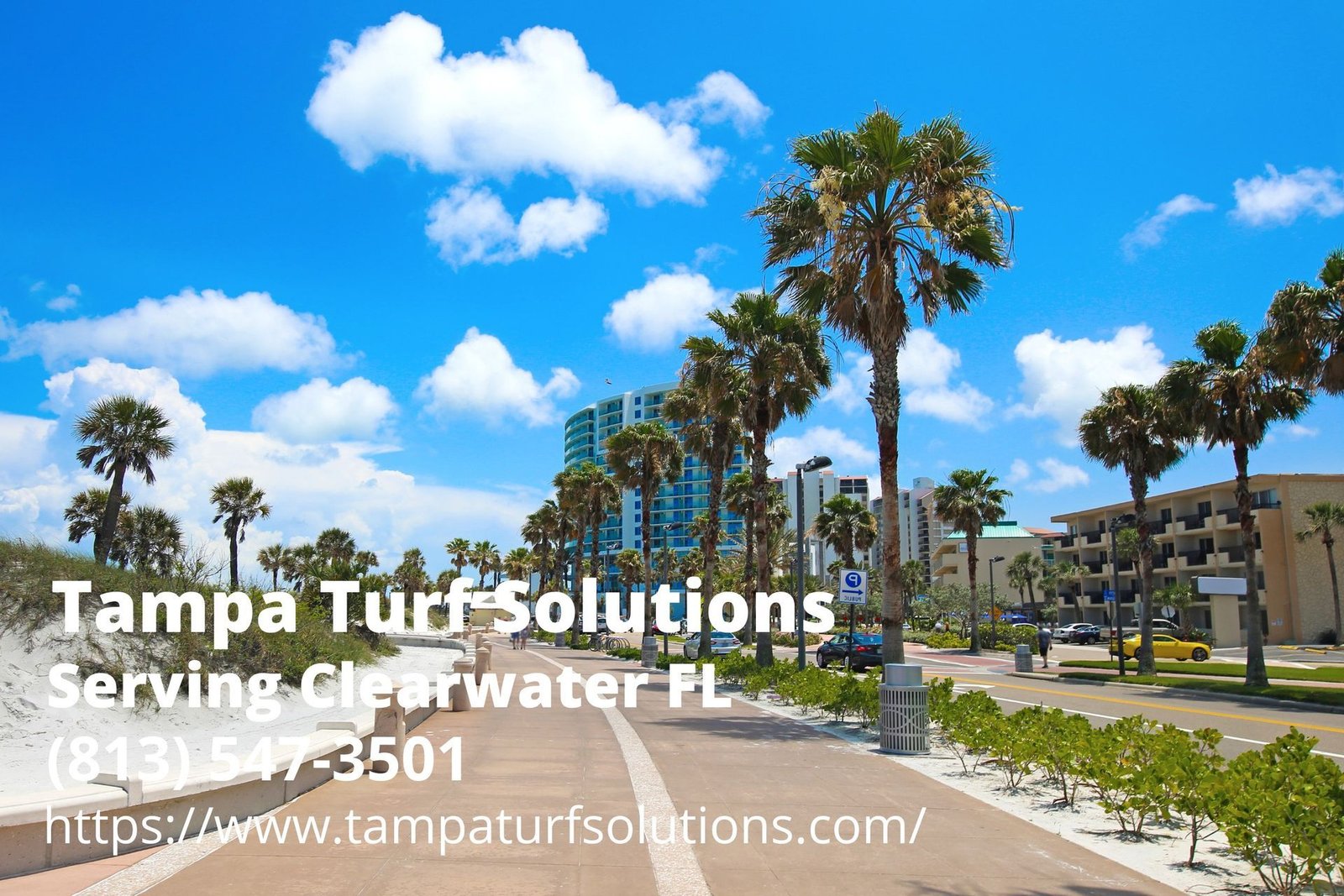 contact details of Tampa Turf Solutions - an artificial grass installation company serving Clearwater, FL