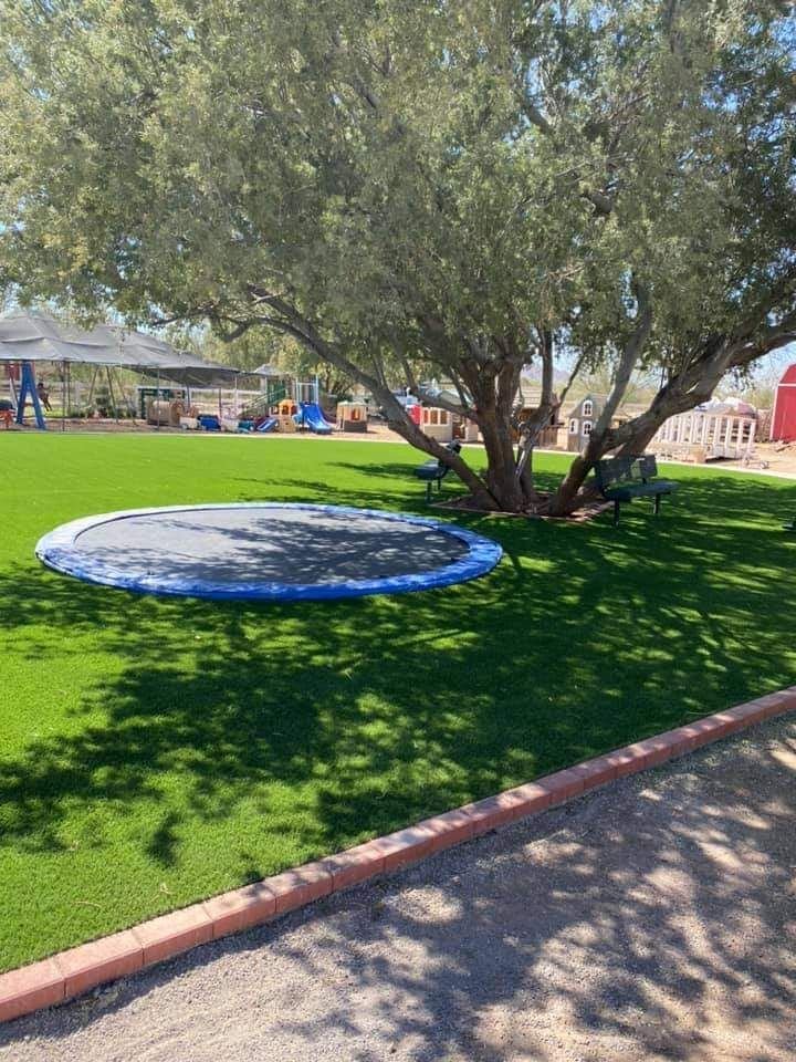 A well-maintained park featuring a large trampoline under a tree, surrounded by high-quality pet turf installations by Tampa Turf Solutions. In the background, there are a playground area with slides and play structures, some benches, and shaded areas.